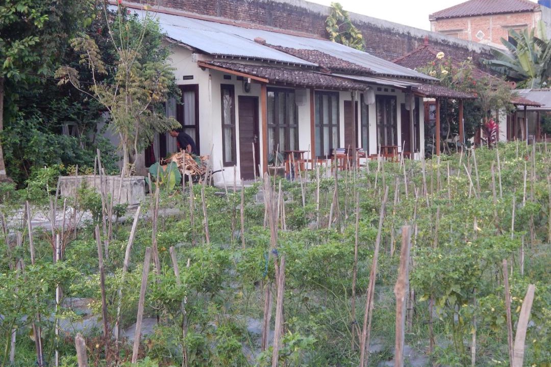 Photo of Others in Sleman