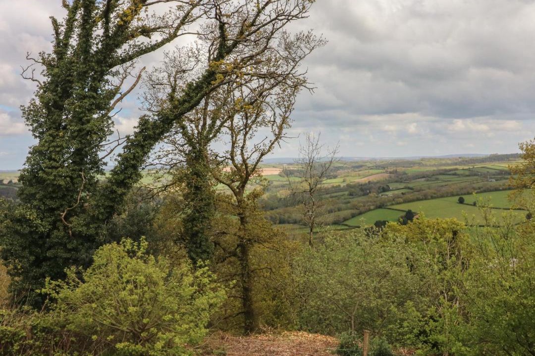 Photo of Others in High Bickington