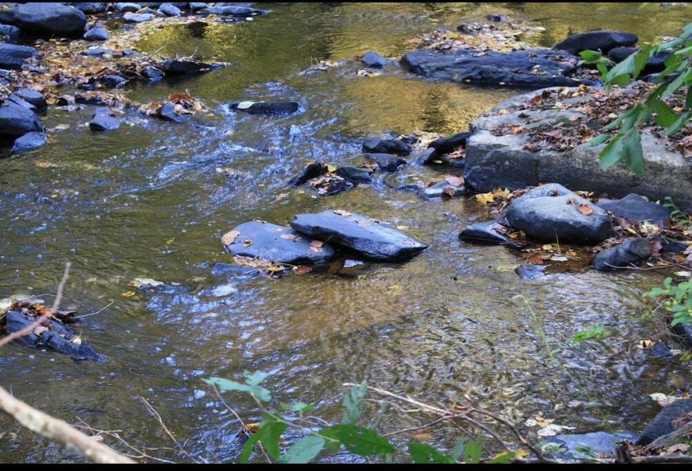 Photo of Others in Albertville