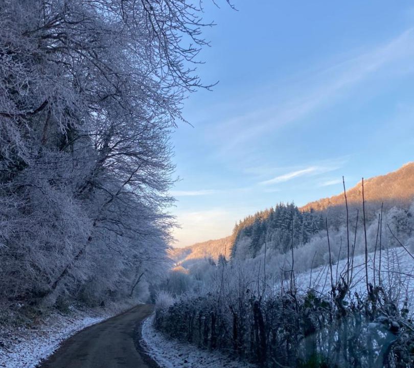Photo of Others in Saint-Rambert-en-Bugey