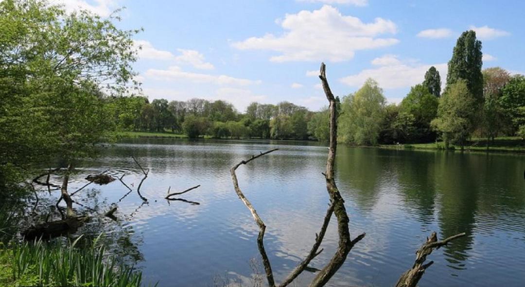 Photo of Others in Epinay-sur-Orge