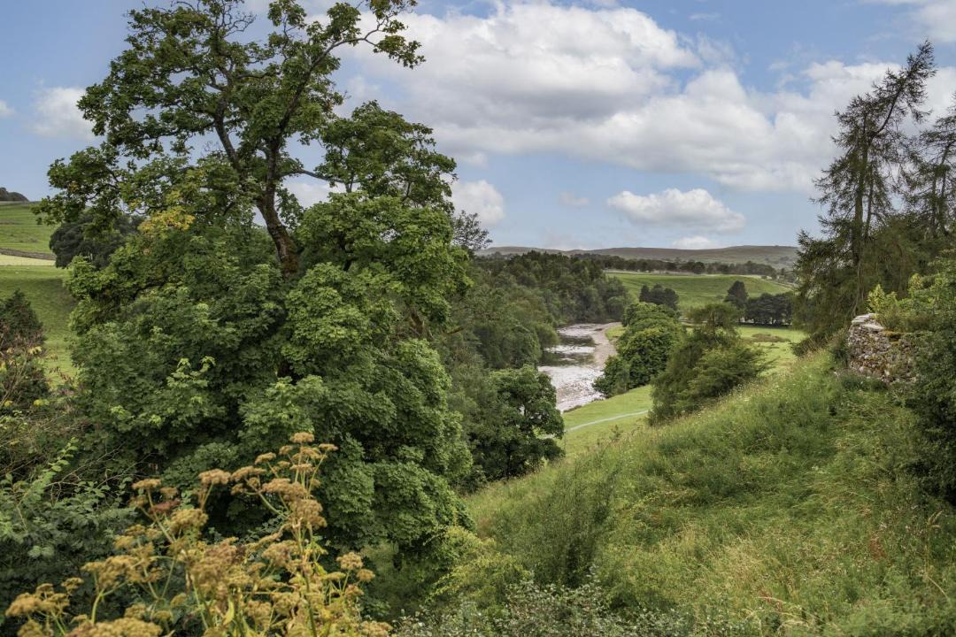 Photo of Others in Skipton