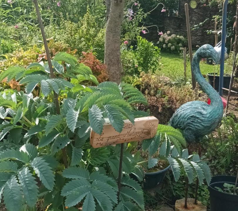 Photo of Outdoor in La Previere