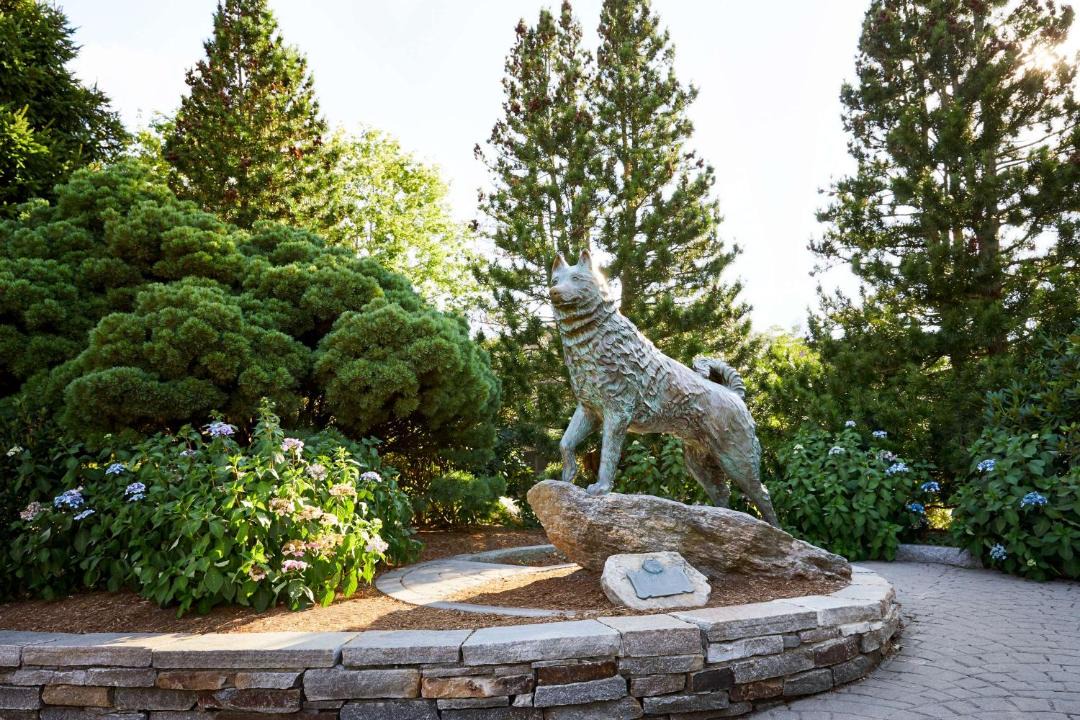 Photo of Others in Storrs