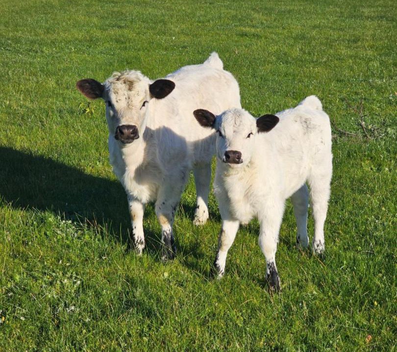 Photo of Others in Leopold