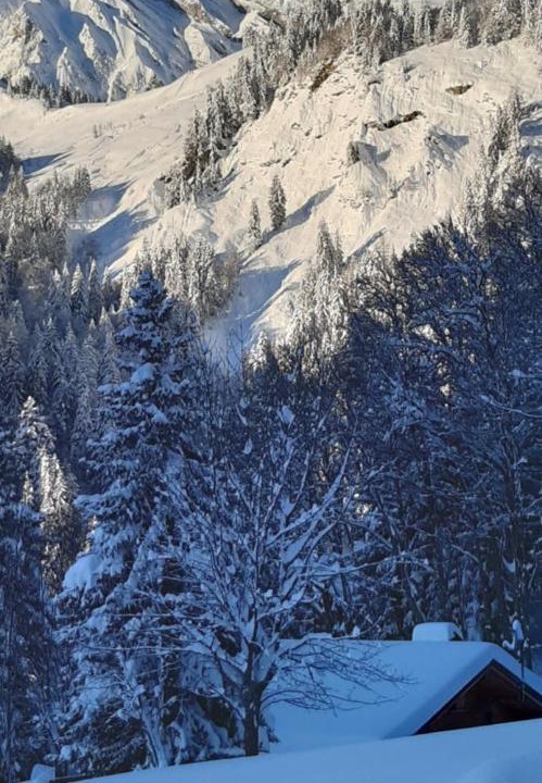 Photo of Others in La Giettaz