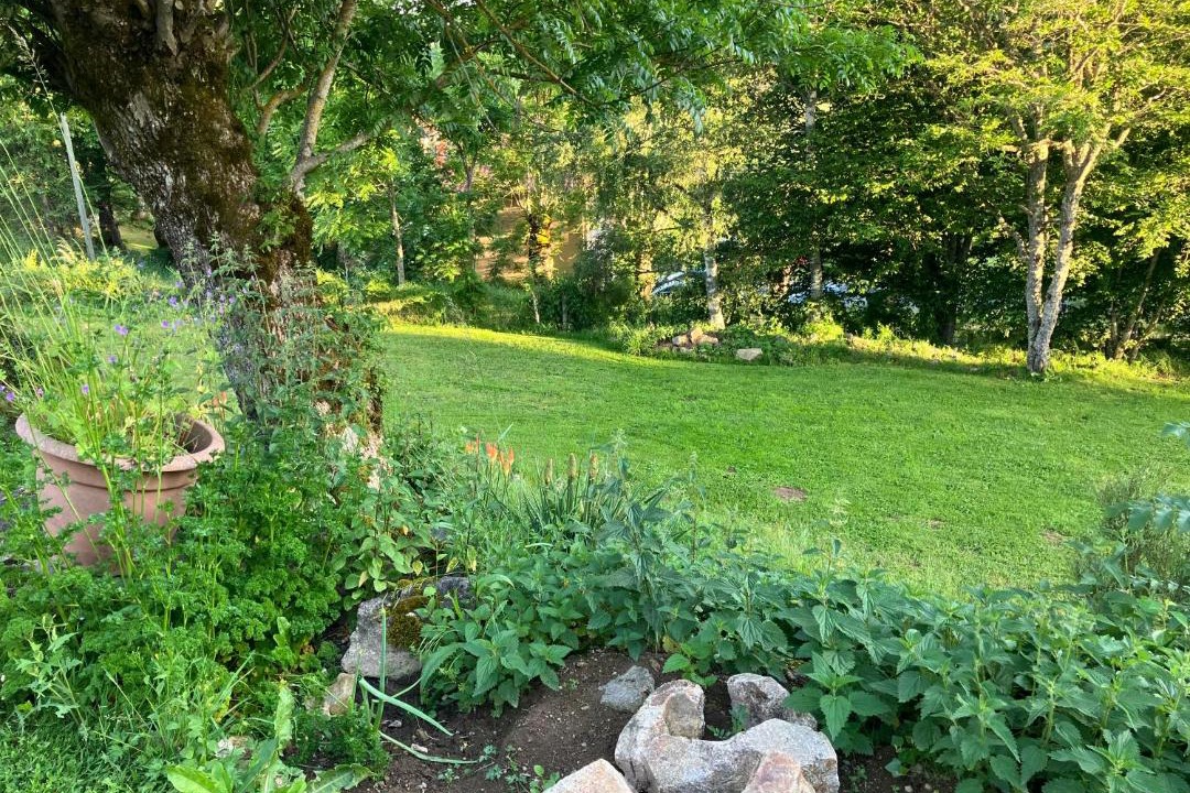 Photo of Outdoor in Monlet