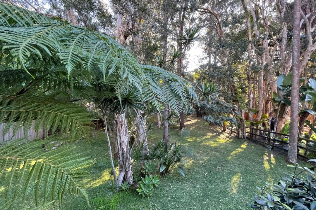 Photo of Others in Arakoon