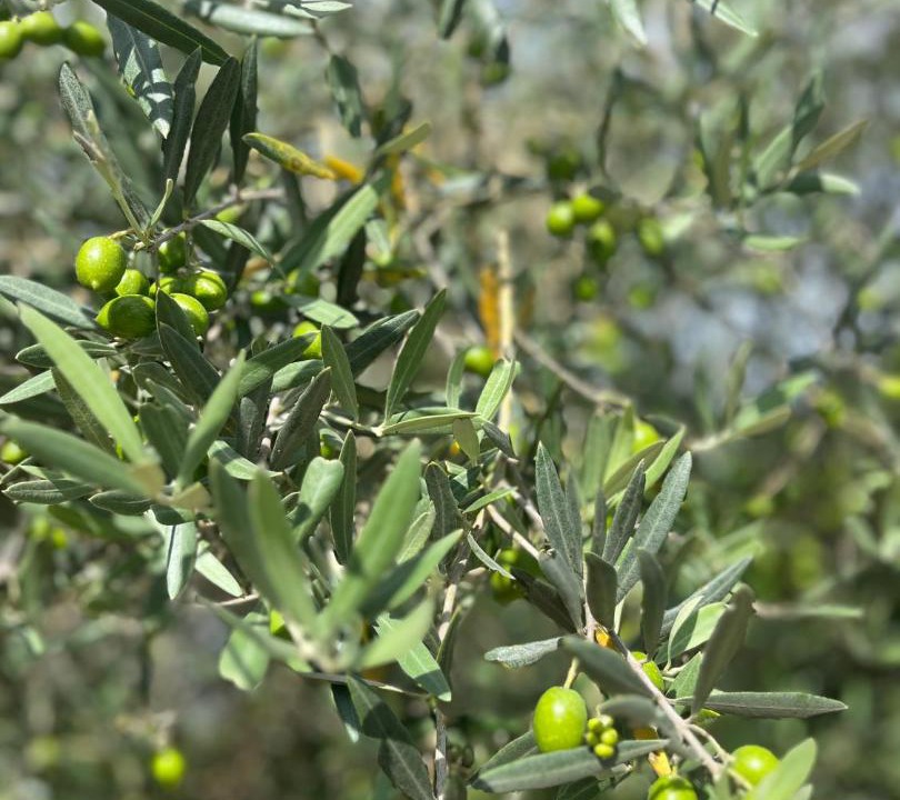 Photo of Outdoor in Corberon