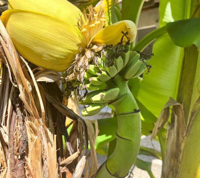 Photo of Others in Corberon