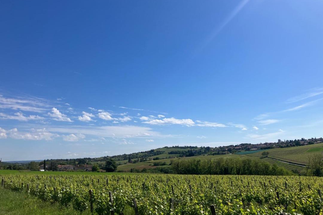 Photo of Others in Les Echets