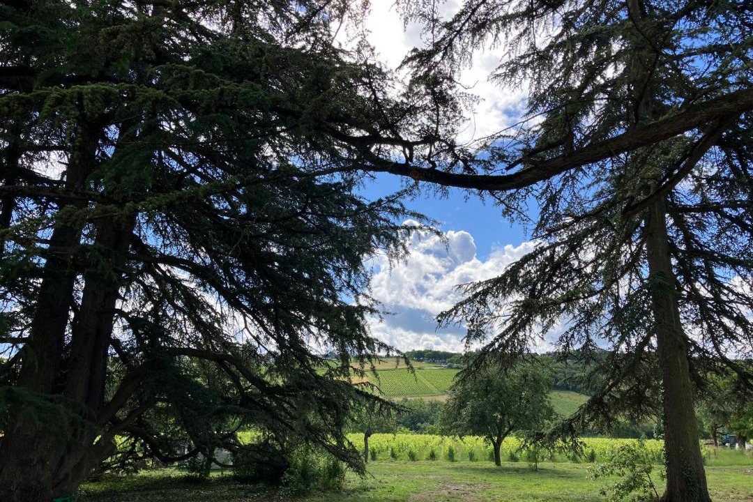 Photo of Others in Les Echets