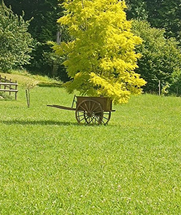 Photo of Others in Ecommoy