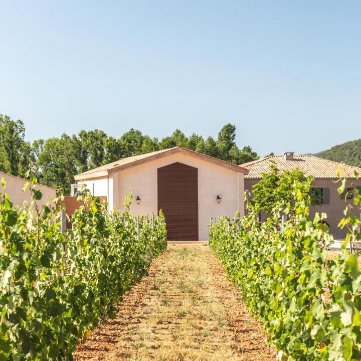 Photo of Others in La Roquebrussanne