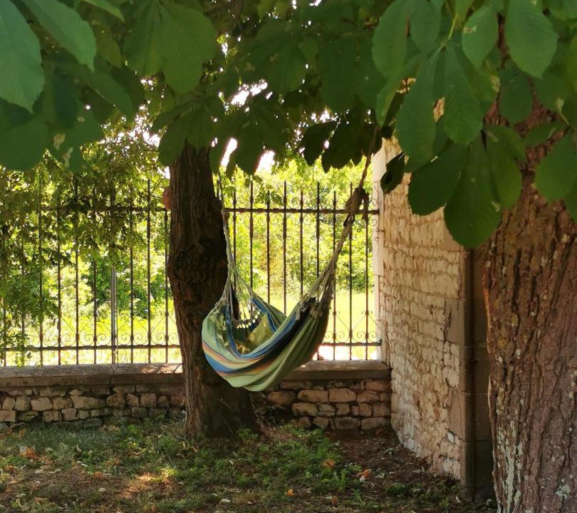 Photo of Others in La Roche-Rigault