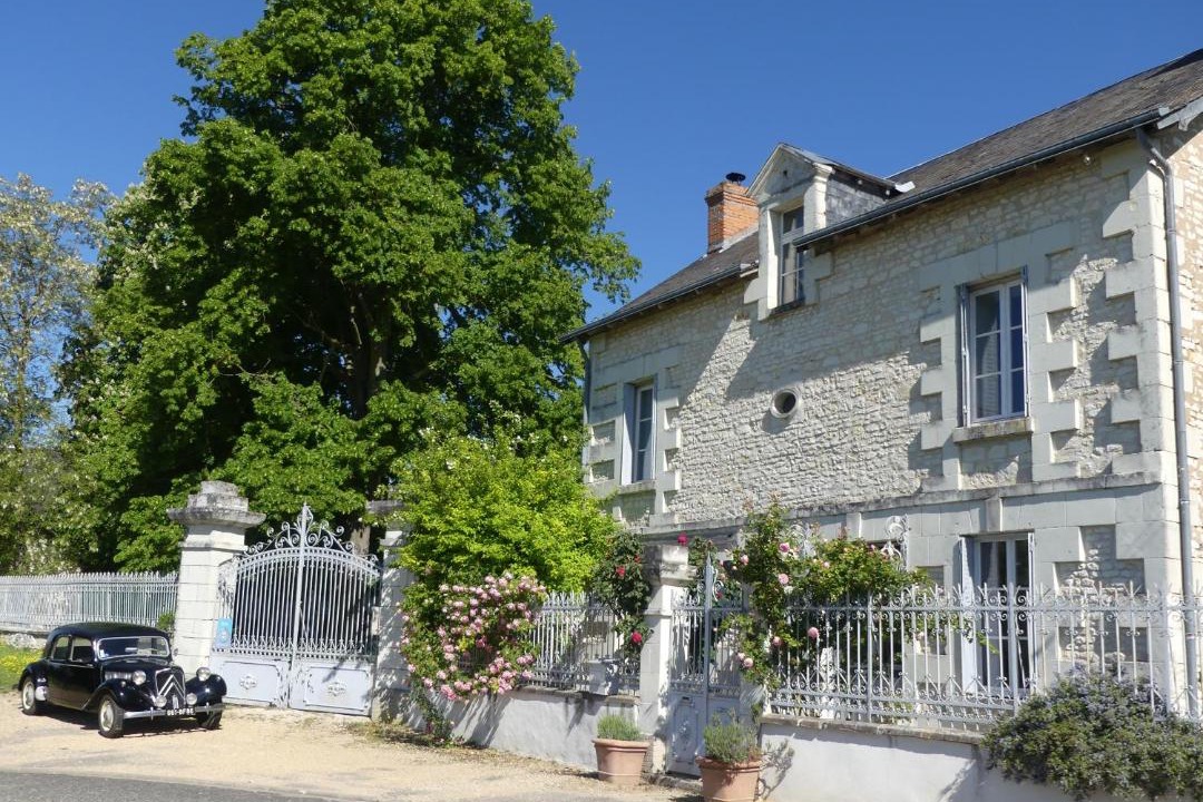 Photo of Others in La Roche-Rigault