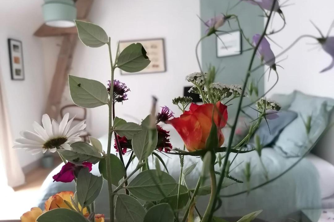 Photo of Others in Mont-pres-Chambord