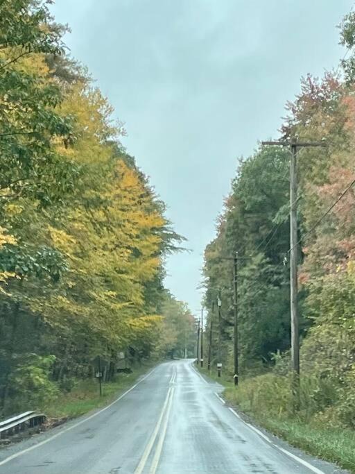 Photo of Others in Ashfield