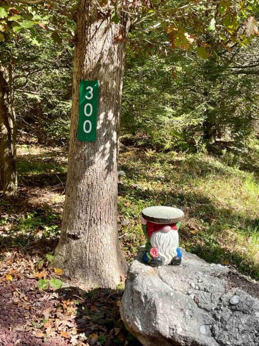 Photo of Outdoor in Ashfield