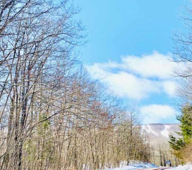 Photo of Others in Highmount