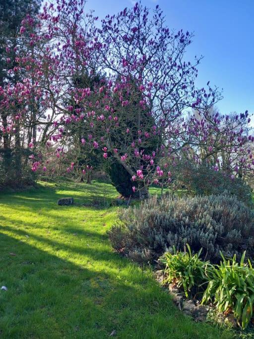 Photo of Outdoor in Lamballe