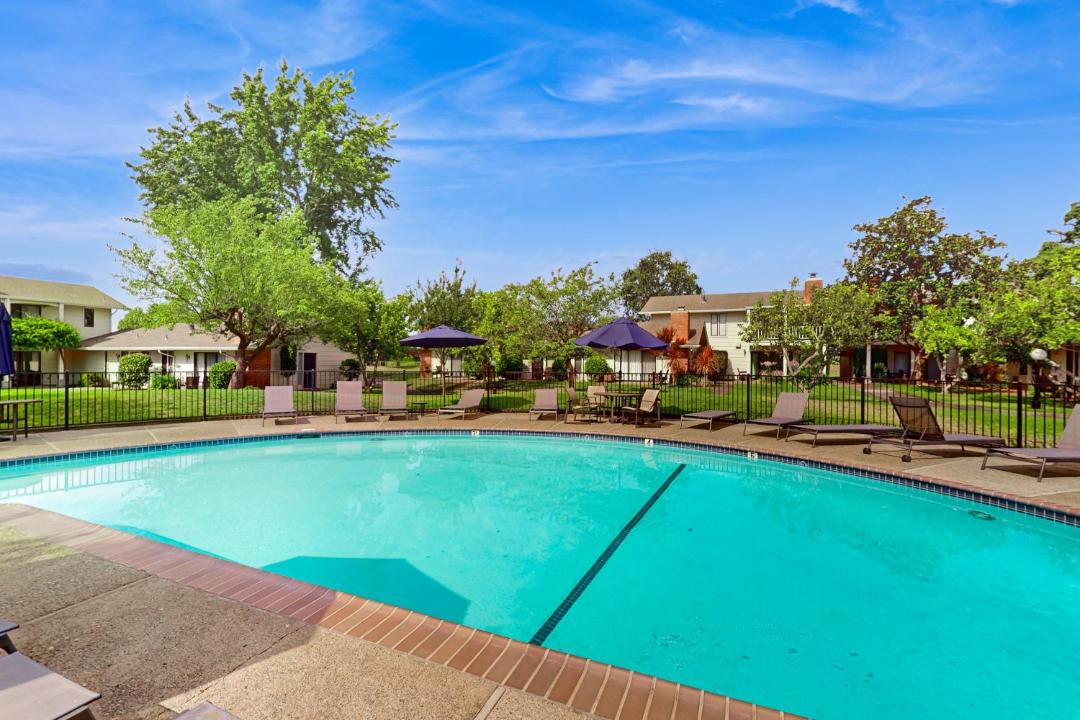 Photo of Others in Napa