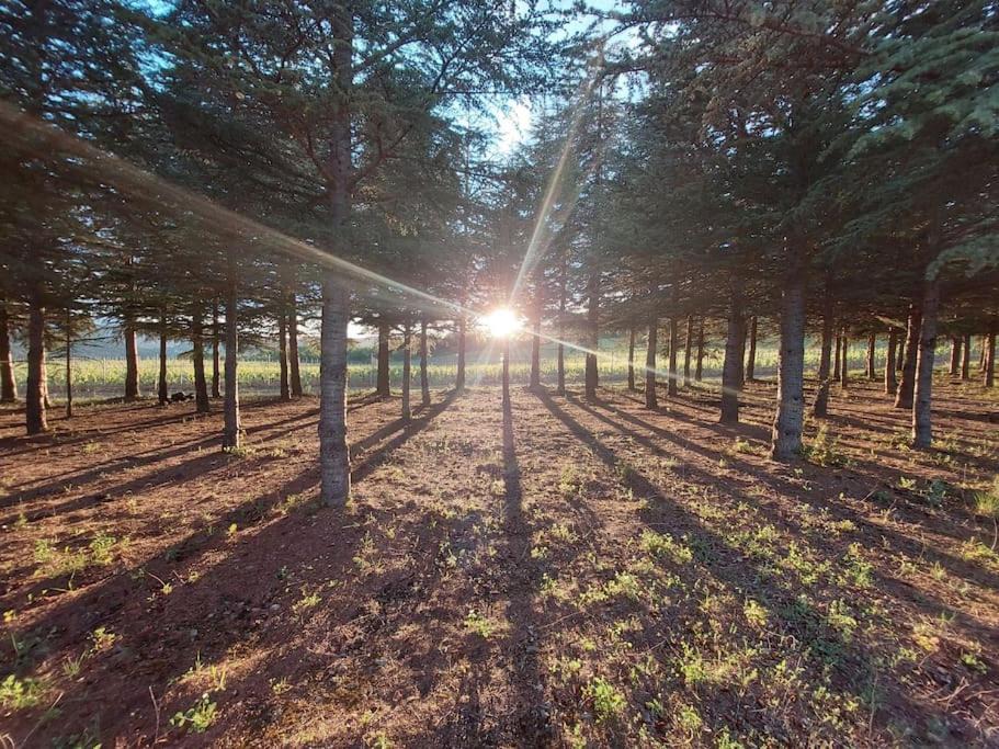 Photo of Others in Couiza