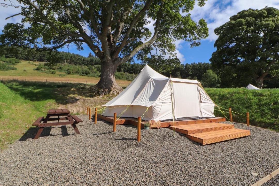 Photo of Others in Glentress