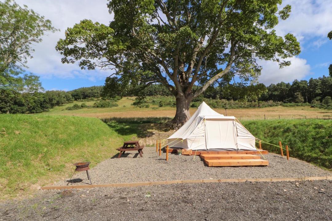 Photo of Others in Glentress