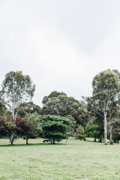 Photo of Others in Moss Vale