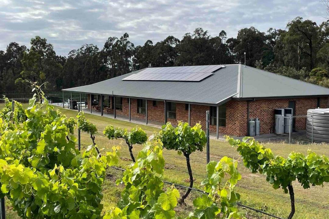 Photo of Others in Lovedale