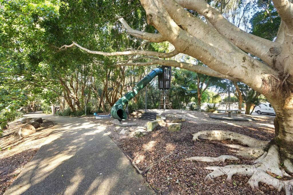 Photo of Others in Mount Coolum