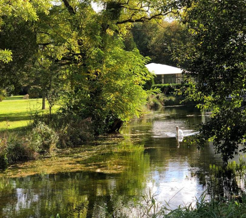 Photo of Others in Conty