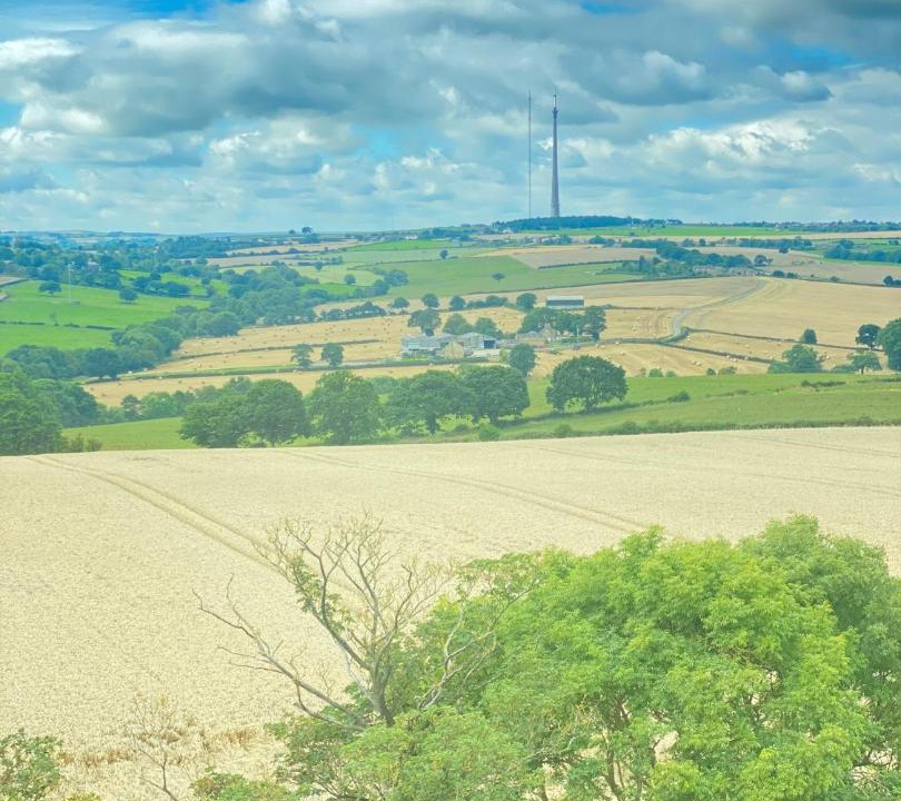 Photo of Others in Grange Moor