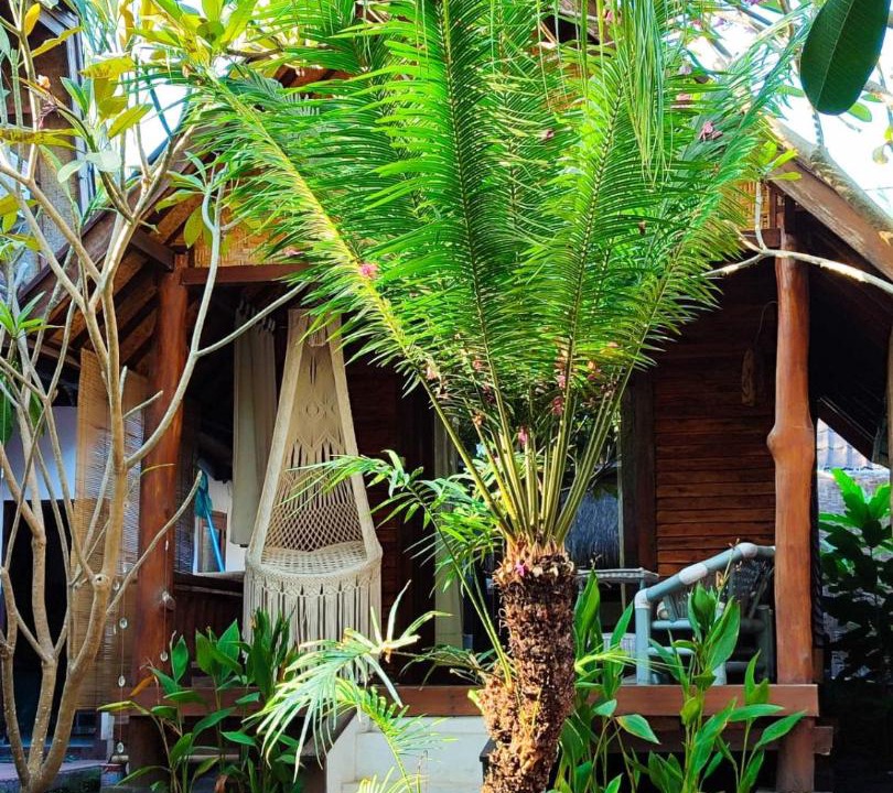Photo of Others in Gili Air