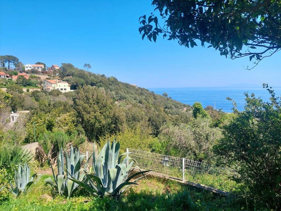 Photo of Others in Cardo