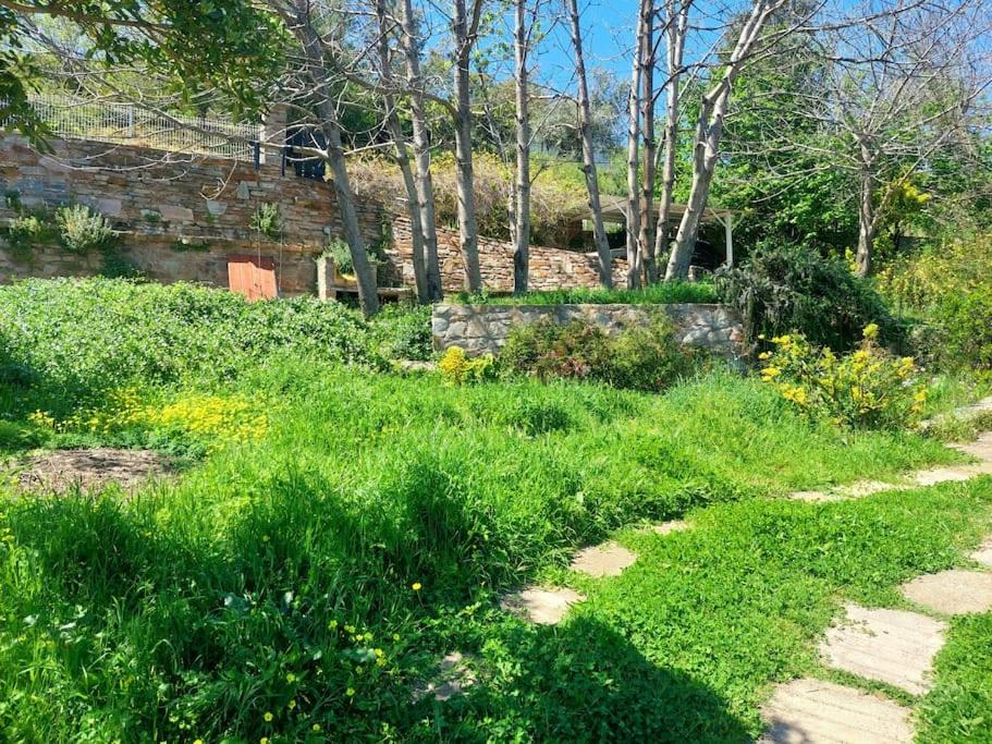 Photo of Others in Cardo