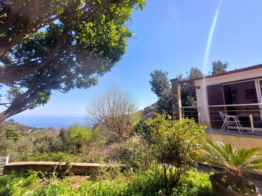 Photo of Others in Cardo