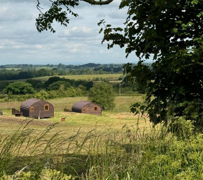 Photo of Others in Wing