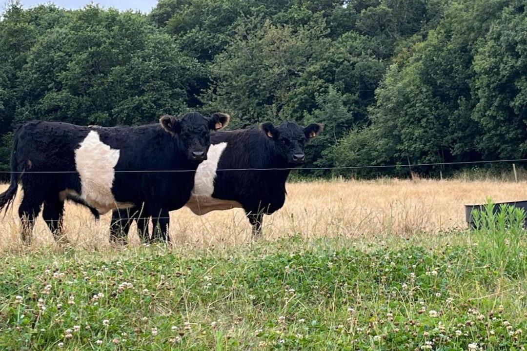 Photo of Others in Lamballe