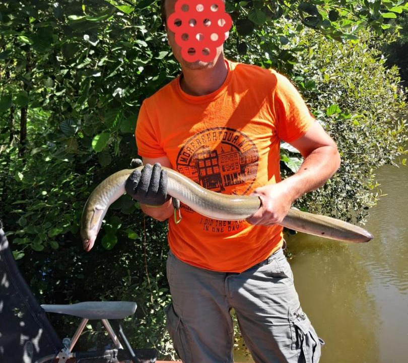 Photo of Others in Renac