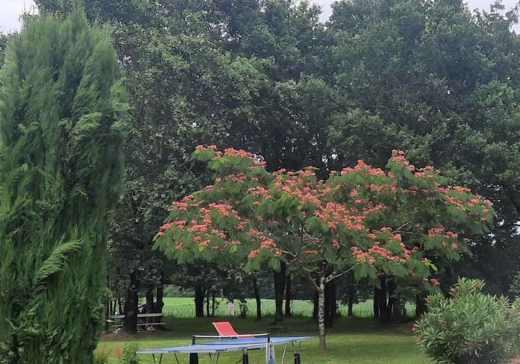 Photo of Others in Saint-Maurice-sur-Adour