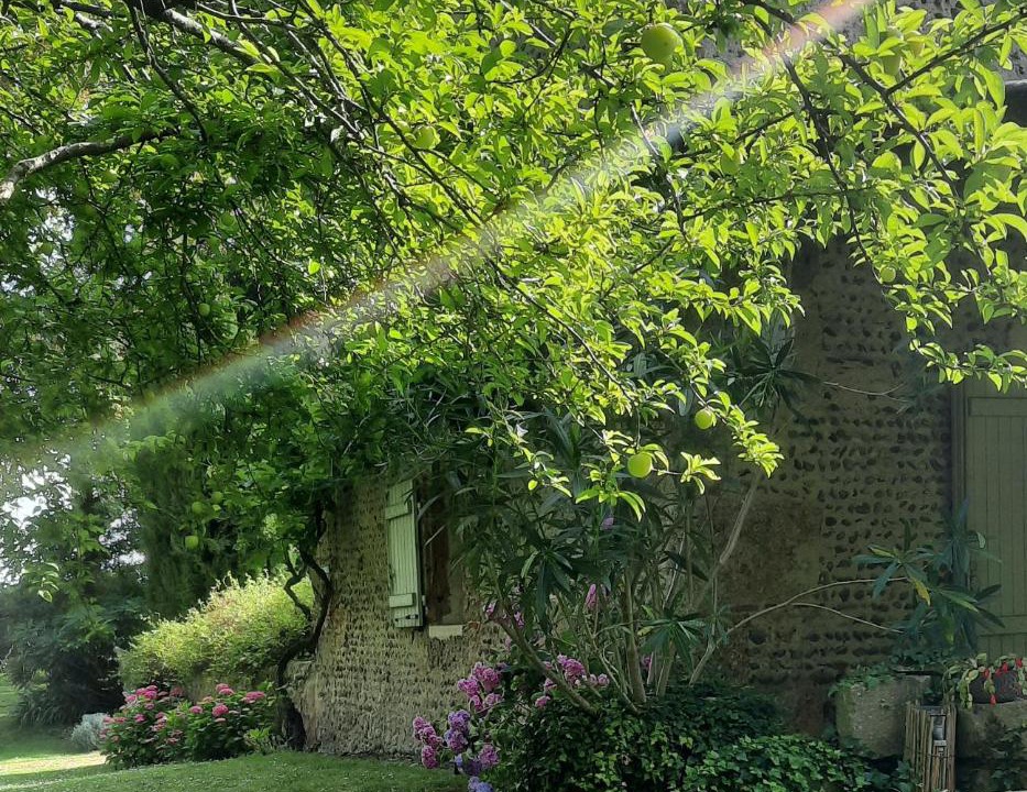 Photo of Others in Saint-Maurice-sur-Adour