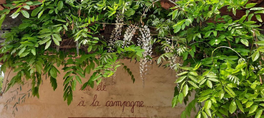 Photo of Others in Saint-Maurice-sur-Adour