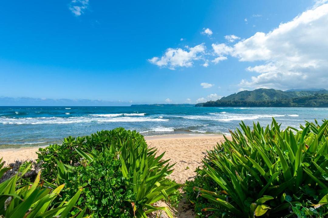 Photo of Others in Wainiha