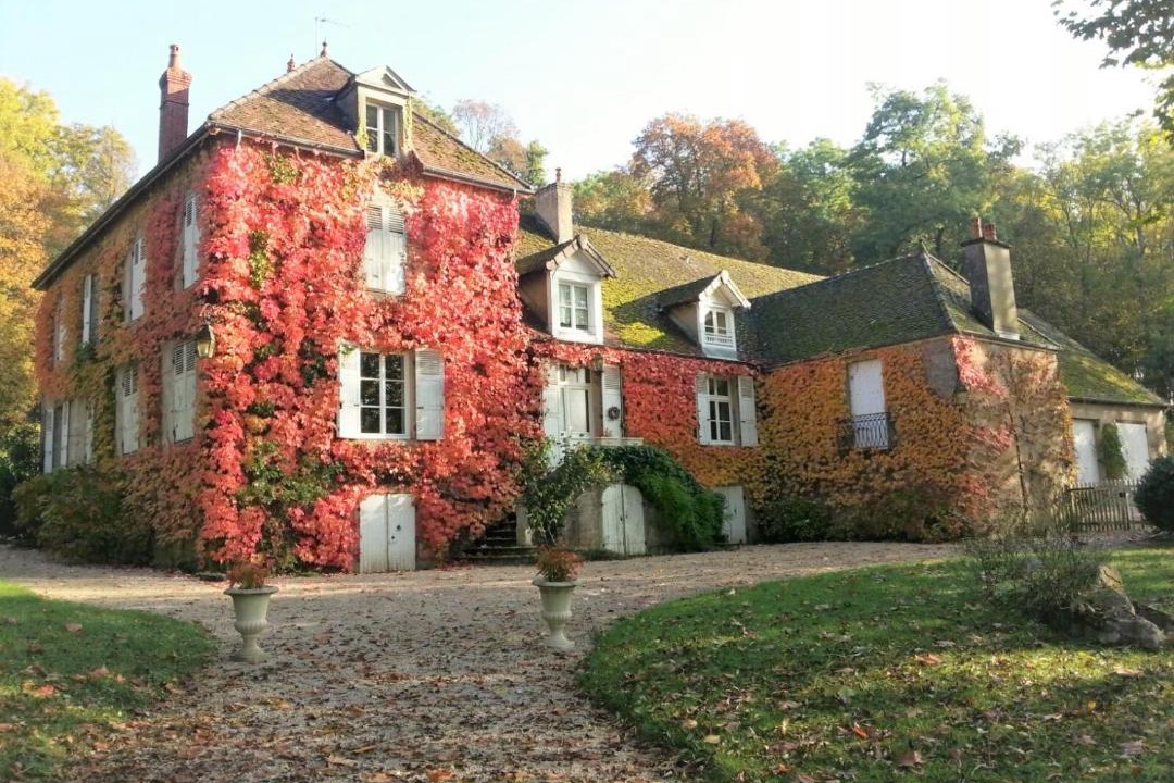 Photo of Buildings in Couches