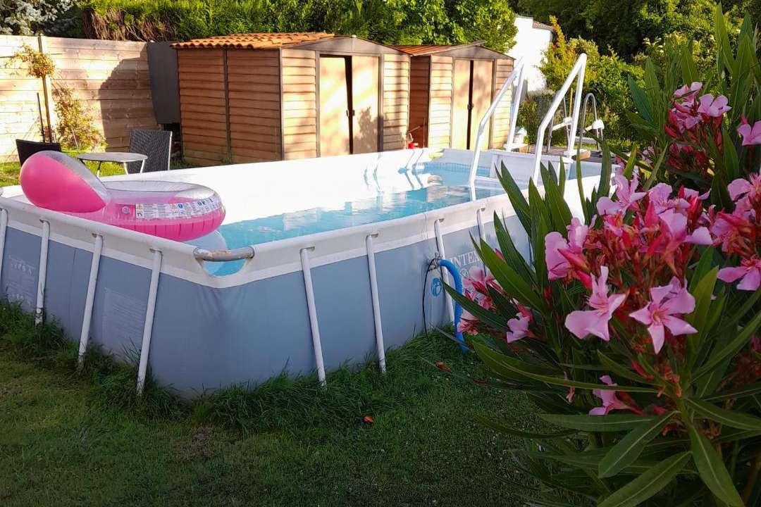 Photo of Others in Saujon