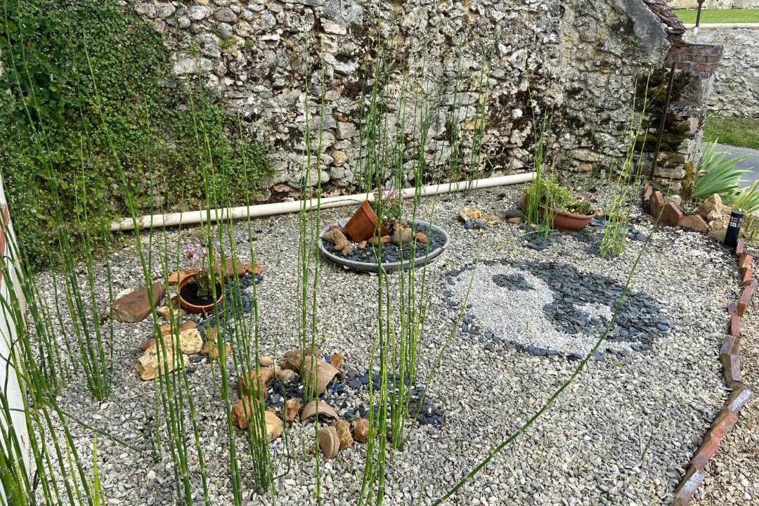 Photo of Others in Lachy