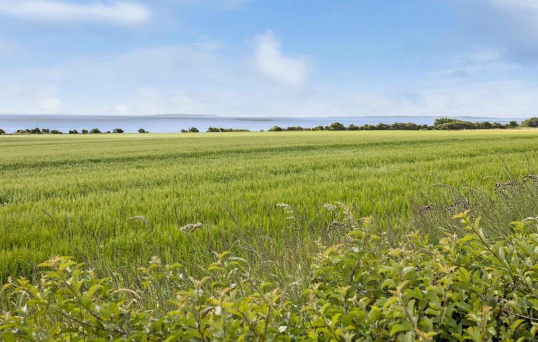 Photo of Others in Vesløs