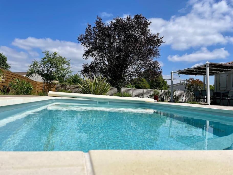 Photo of Others in Loupes